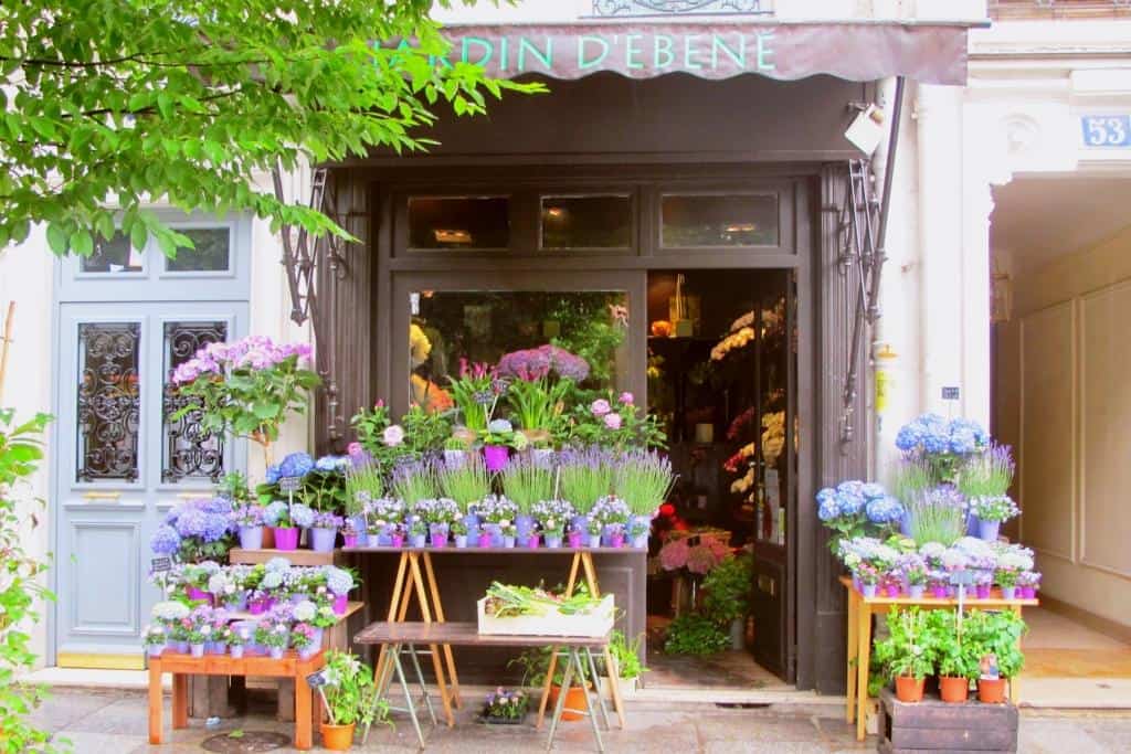 magasin de fleures