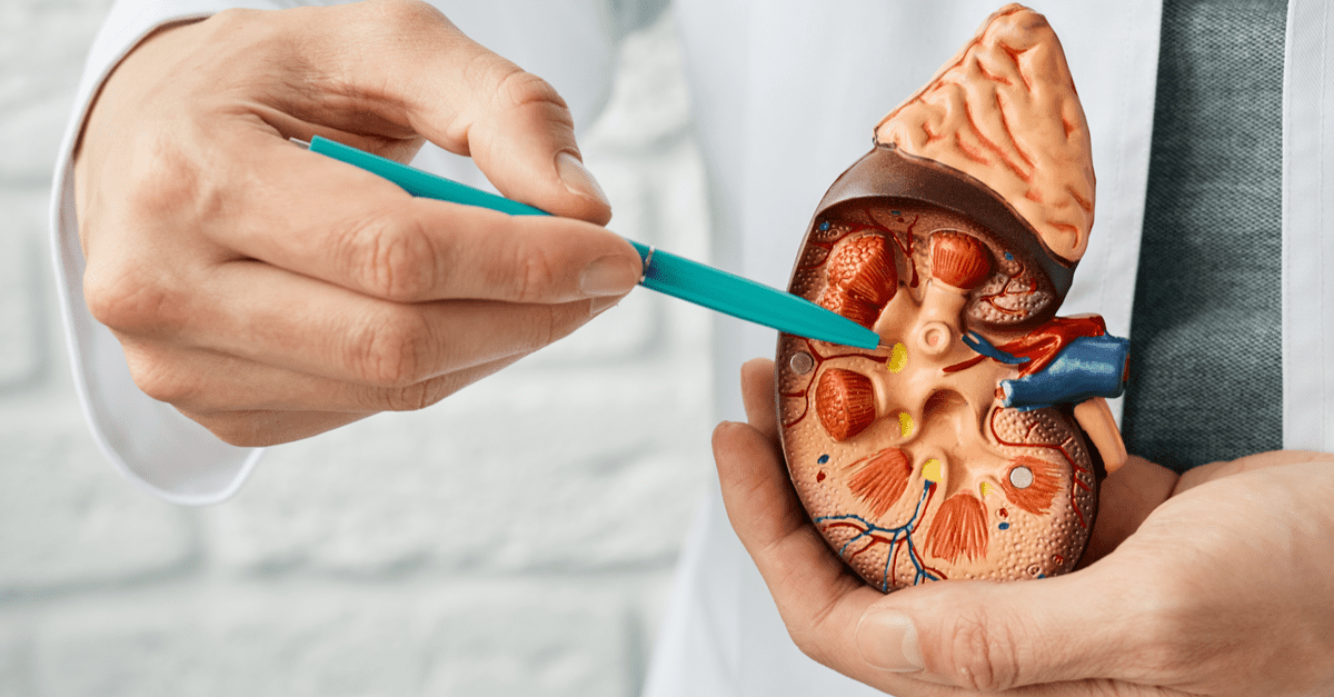 Devenir Anatomiste : missions, salaire et formation