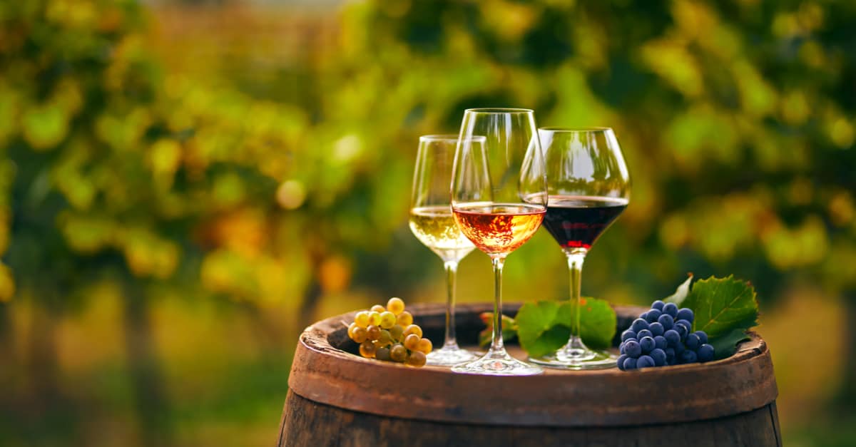 CAP Agricole CAPA – Vigne et Vin : durée, programme et débouchés…