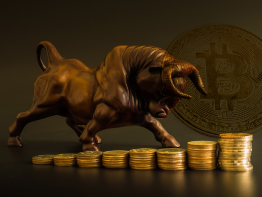 Bitcoin-Bull-Run.png