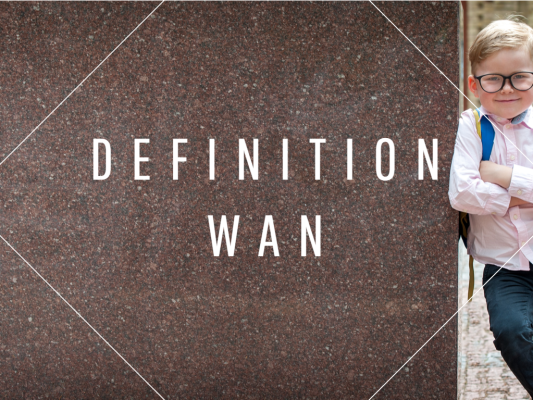 Definition-WAN.png