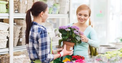 BAC Pro technicien conseil vente en produits horticoles jardinage : durée, programme…