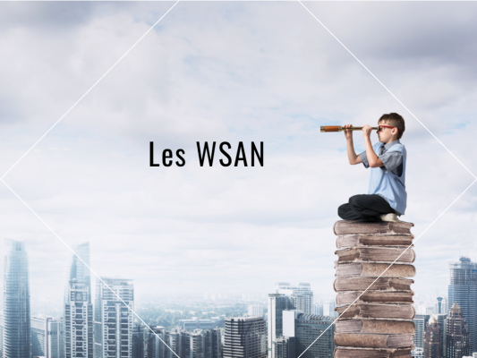 WSAN.png