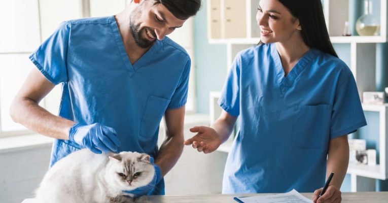 Devenir Auxiliaire vétérinaire : missions, salaire et formation