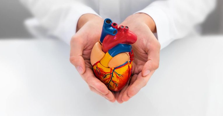 Devenir Cardiologue : missions, salaire et formation