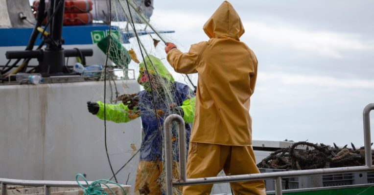 Devenir marin pêcheur : missions, salaire et formation