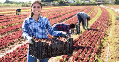 Devenir Ouvrier agricole : missions, salaire et formation