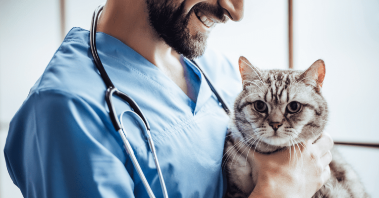 CEAV – Certificat d’Études Approfondies Vétérinaires : durée, programme…